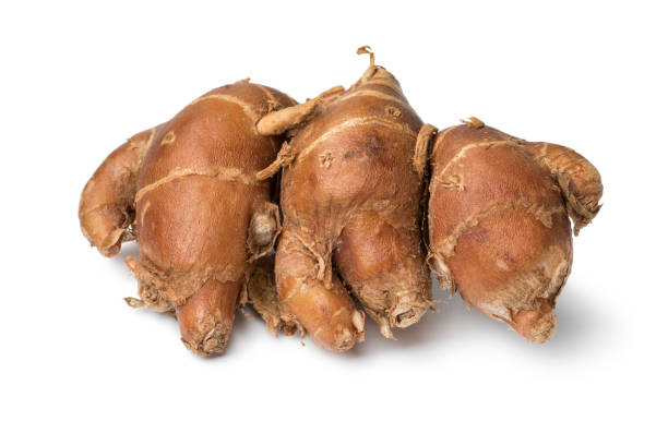 Manfaat Kencur untuk Kesehatan Penyembuh Alami dengan Kekuatan Herbal